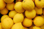 Organik Limon | Halil Hilmizade