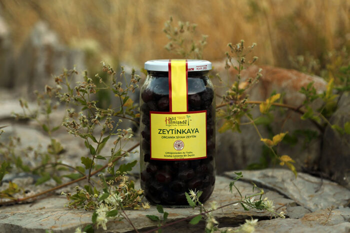 Zeytinkaya Siyah Zeytin | Halil Hilmizade