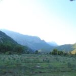 IMG_1693