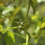 IMG_3205