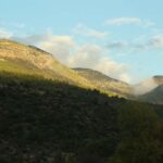 IMG_7225