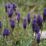 IMG_8199