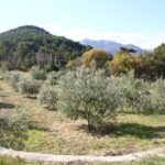 phoca_thumb_l_halilhilmizade-photos-by-halil-ugur009