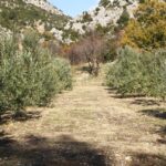 phoca_thumb_l_halilhilmizade-photos-by-halil-ugur012