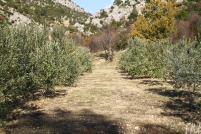 phoca_thumb_l_halilhilmizade-photos-by-halil-ugur012