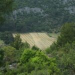 phoca_thumb_l_img_0943