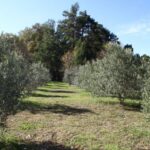 phoca_thumb_l_img_6216-copy