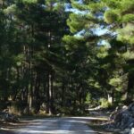 phoca_thumb_l_img_6419-copy