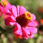 phoca_thumb_l_img_6421-copy
