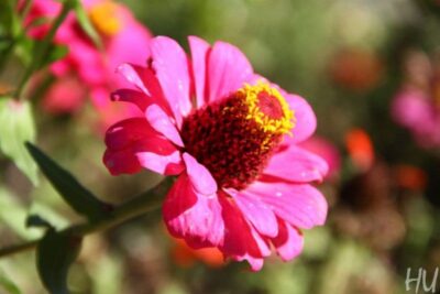 phoca_thumb_l_img_6421-copy