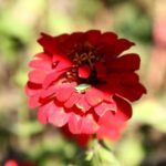 phoca_thumb_l_img_6427-copy