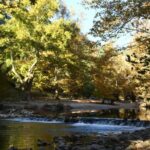 phoca_thumb_l_img_6552-copy